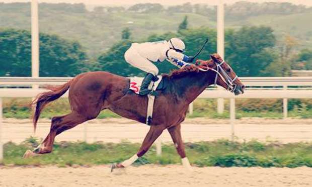 Hen Do, Hen Weekend and Hen Party Grand National Entertainment