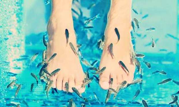 Lloret de Mar Hen Weekend - Deluxe Fish Pedicure - Pamper