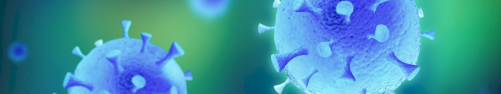  Coronavirus message from Directors