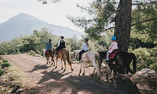 Four ladies on horse along a trail.