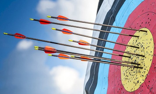 Arrows in an archery board after a game.