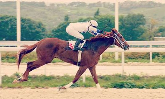 Liverpool Hen Do Ideas and Activities - Grand National