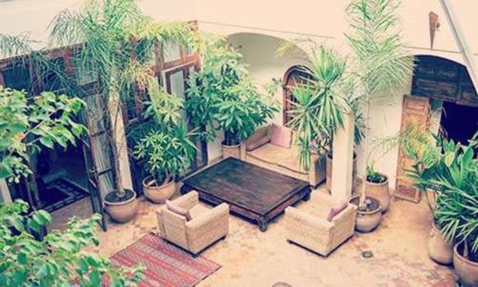 Palm trees in a courtyard. Get a quote for a Marrakech Budget Riad on your hen do: