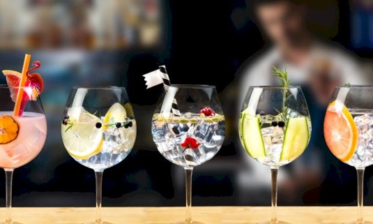 Gin glasses with garnish